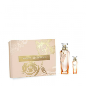 LOTE PERFUMERIA AGUA ROSAS