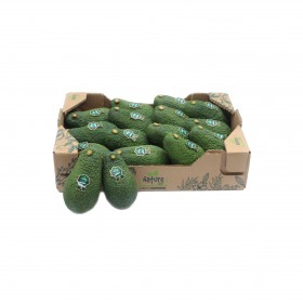 AGUACATE HAFF CCARTON.