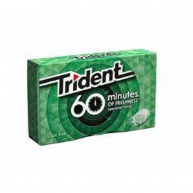 TRIDENT CHICLE 60 MIN.MENTA...