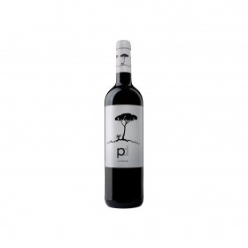 PINO DONCEL TINTO BLACK 75cl